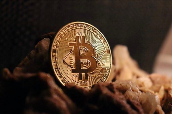 earn money online