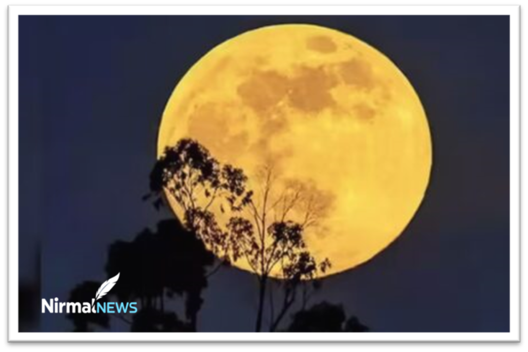 Last Full Moon of 2025 in Taurus Cold Moon Meaning & Zodiac Guidance for a Grounded Year-End Last Full Moon of 2025 in Taurus: Cold Moon Meaning & Zodiac Guidance for a Grounded Year-End